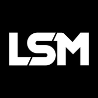 LSM logo - Similar company to Lsm