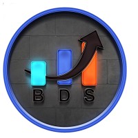 Bhartiya Digital Services (BDS) logo - Similar company to Rock Solid Roi