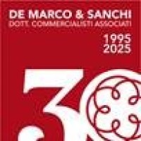 Studio Dottori Commercialisti Associati - De Marco - Sanchi logo - Similar company to Bluegreen Strategy