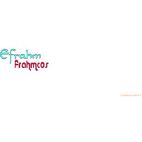 Efrahm Inc logo - Similar company to Eft Soft