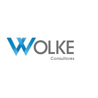 Wolke Consultores logo - Similar company to Wolke Intelligence Ai