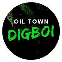 Oil Town Digboi Enterprise logo - Similar company to Vrixaalabs Pvt Ltd