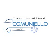 Comuniello Trasporti logo - Similar company to Alianto Sl