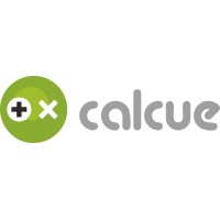Calcue info services Private Ltd logo - Similar company to Spyder Innovative Data System
