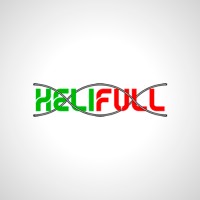 Helifull Peças Industriais logo - Similar company to Valge® - Bombas Helicoidais Valdir Geremia