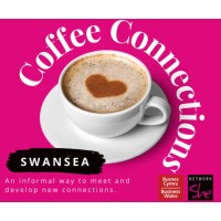 Network She- Swansea logo - Similar company to Gofod Technologies