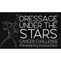 Dressage Under The Stars™ logo - Similar company to Country Customs Uk Ltd