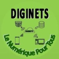 DIGITAL NETWORK SERVICES (DIGINETS) logo - Similar company to Dataoptime
