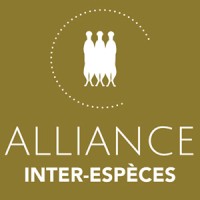 Taac - Intuiteurs Sans Frontières