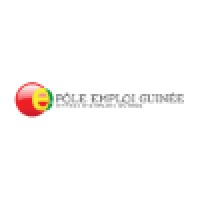 Pole Emploi Guinée logo - Similar company to Guinee