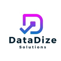 DataDize Solutions logo - Similar company to Mesh Networking - It Networking Solutions