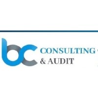 BC CONSULTING & AUDIT logo - Similar company to Grupo Elite Organizacional