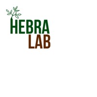 Hebralab logo - Similar company to Delightchile