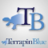 Terrapin Blue logo - Similar company to C3 Communications