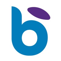 Baisma logo - Similar company to Ilzon Tech