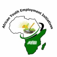 AFRICAN YOUTH EMPLOYMENT INITIATIVES-AYEI logo - Similar company to Docsera