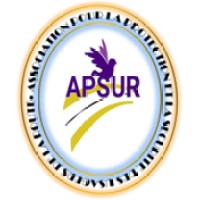 APSUR ONG logo - Similar company to Solutions Solar Systems