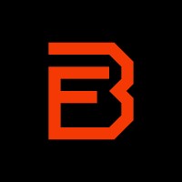 BurlyFleet logo - Similar company to Led Secure Canada