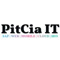 PitCia iT logo - Similar company to Howfly It