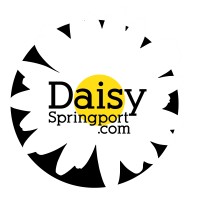 Daisy Springport logo - Similar company to Provista.Studio