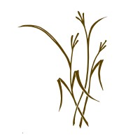 Bluestem logo - Similar company to Confluence Climate Consulting