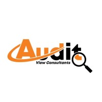 AUDIT VIEW CONSULTANTS logo - Similar company to Project Partner Data Solutions (Www.Ppdsanalytics.Com)