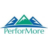 PerforMore Coaching & Consulting logo - Similar company to Systemico Technologies