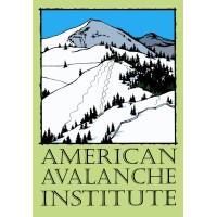 American Avalanche Institute logo - Similar company to Beyond Skid