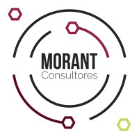 Morant Consultores y Ciencia de Datos logo - Similar company to Mobel Media & Technology