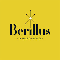 Berillus logo - Similar company to Taff' Ton Rêve