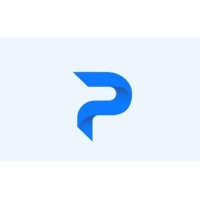 Pundit Inc logo - Similar company to Radcom Software Services