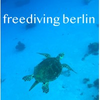 freediving berlin logo - Similar company to Maybe Diver