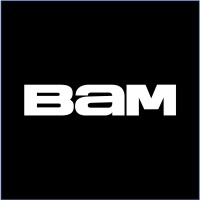 BaM APAC logo - Similar company to Splendid Group