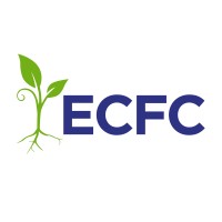 Early Childhood Funders Collaborative logo - Similar company to Foundation For Child Development