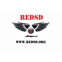 Real Estate Drones of San Diego logo - Similar company to Real Boone Studios