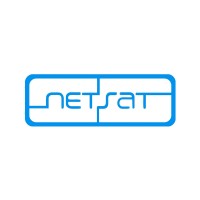 NetSat Pvt Limited logo - Similar company to 100 Tech Solutions