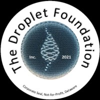 The Droplet Foundation, Inc. logo - Similar company to Luminous