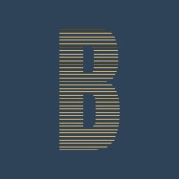Brandaption logo - Similar company to Netway Solutions