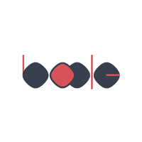 Boole logo - Similar company to Syre