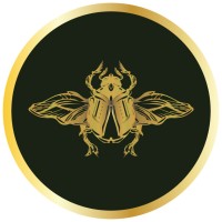 The Curious Department Ltd.