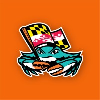 Chesapeake Baysox logo - Similar company to Frederick Keys