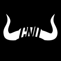 Crypto N Dare logo - Similar company to Spars Technologies Limited