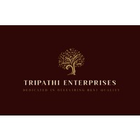 Tripathi Enterprises logo - Similar company to Tripathi Group