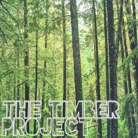 The Timber Project logo - Similar company to Curio Architects