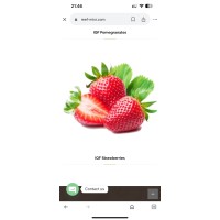 Reef Misr logo - Similar company to Reef Misr