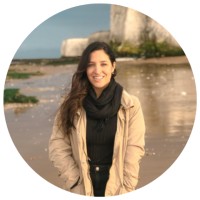 Intercâmbio Voluntário logo - Similar company to Partiu Intercâmbio