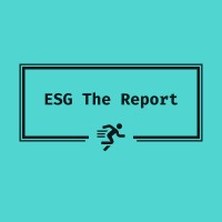 ESG | The Report logo - Similar company to Esg Connect