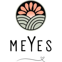 MeYes logo - Similar company to Buddhasoft