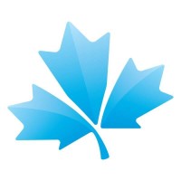 Olomedia logo - Similar company to Revert Project