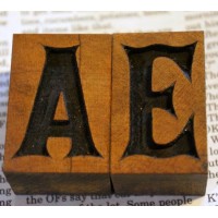 The Altamont Enterprise